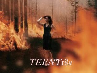 TEENY18n