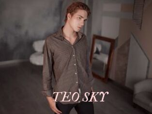 TEO_SKY