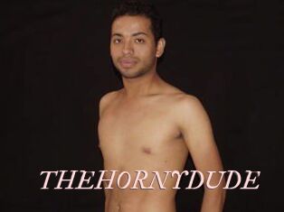 THEHORNYDUDE