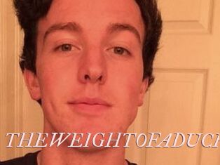 THEWEIGHTOFADUCK