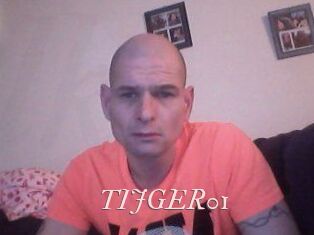 TIJGER01 Leukelol