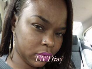 T_N_Ttiny