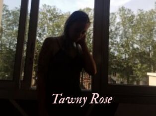 Tawny_Rose