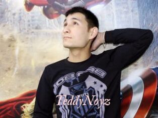 TeddyNoyz