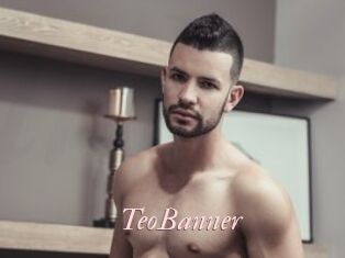 TeoBanner