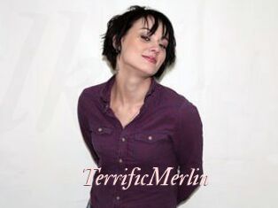 TerrificMerlin