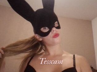 Tesscam