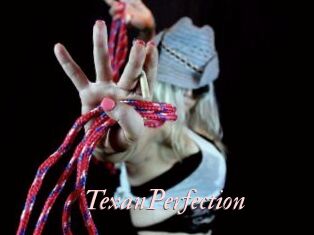 TexanPerfection