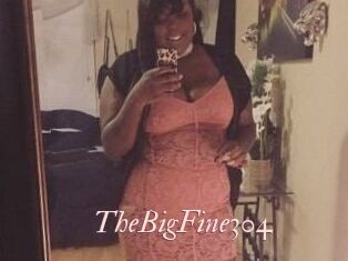 TheBigFine304
