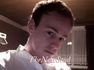 TheNewStud