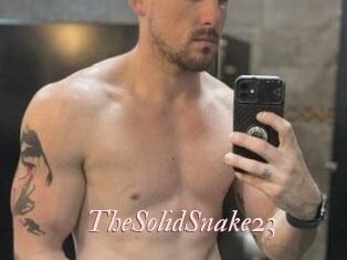 TheSolidSnake23