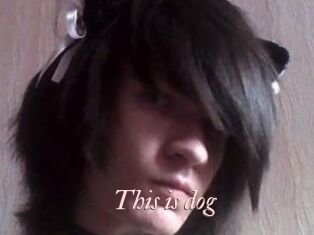 This_is_dog