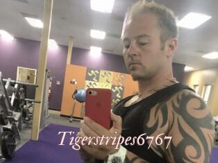 Tigerstripes6767