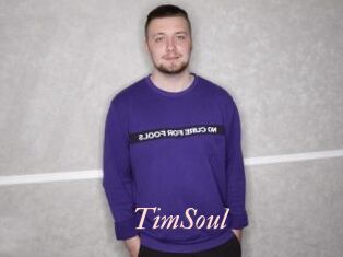 TimSoul