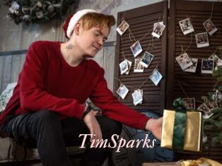 TimSparks
