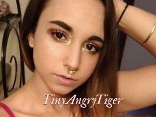 TinyAngryTiger