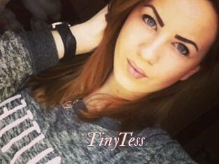 TinyTess