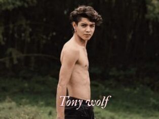 Tony_wolf
