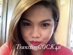 TransBigCOCK4u