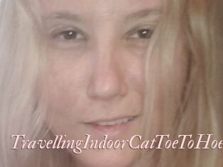 TravellingIndoorCatToeToHoe