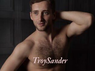 TroySander