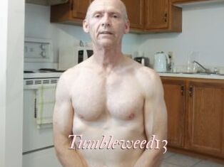 Tumbleweed13