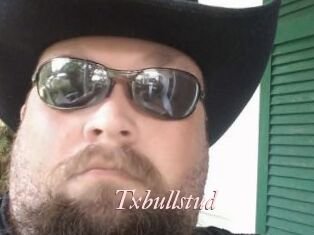 Txbullstud