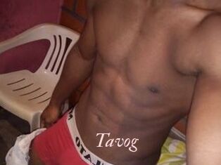 Tavog