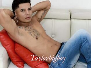 Taylorbigboy