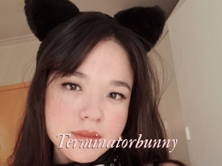 Terminatorbunny
