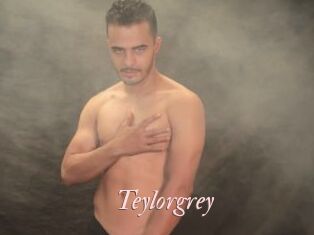 Teylorgrey