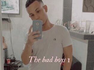 The_bad_boys_1