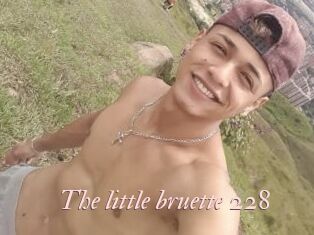 The_little_bruette_228