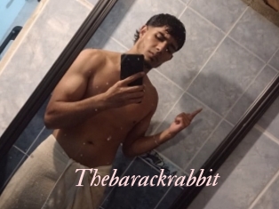 Thebarackrabbit