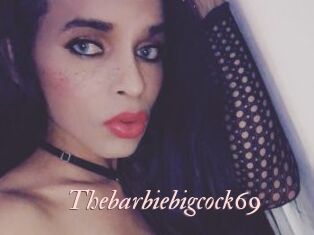 Thebarbiebigcock69