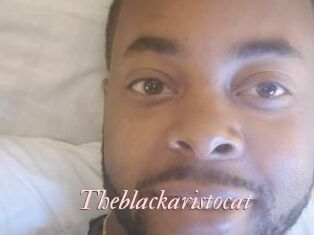Theblackaristocat