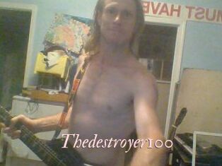 Thedestroyer100