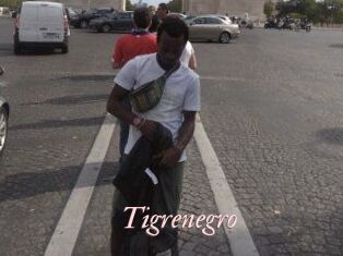 Tigrenegro