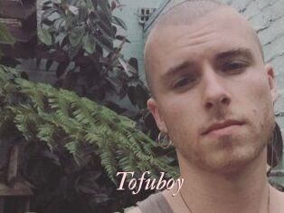 Tofu_boy