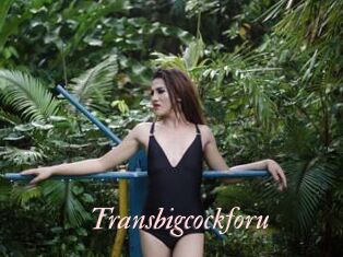 Transbigcockforu