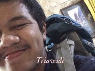 Triawidi