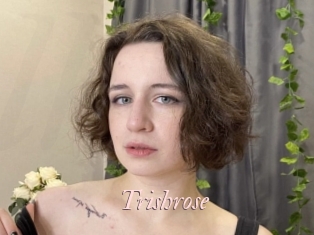 trishrose Leukelol