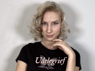 Udelegrief
