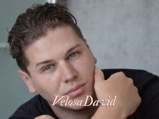 VelosaDavid