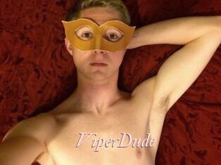ViperDude