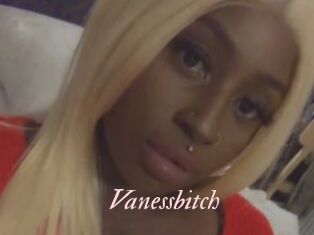 Vanessbitch