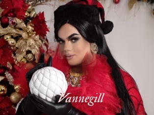 vannegill Leukelol