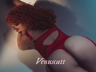 Venuscatt