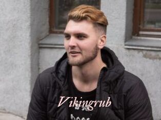 Vikingrub