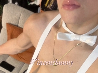 Vincentbunny